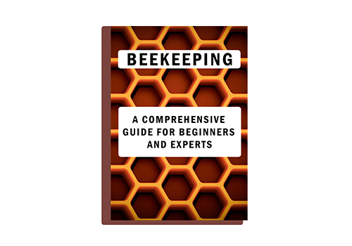 The Future of Beekeeping